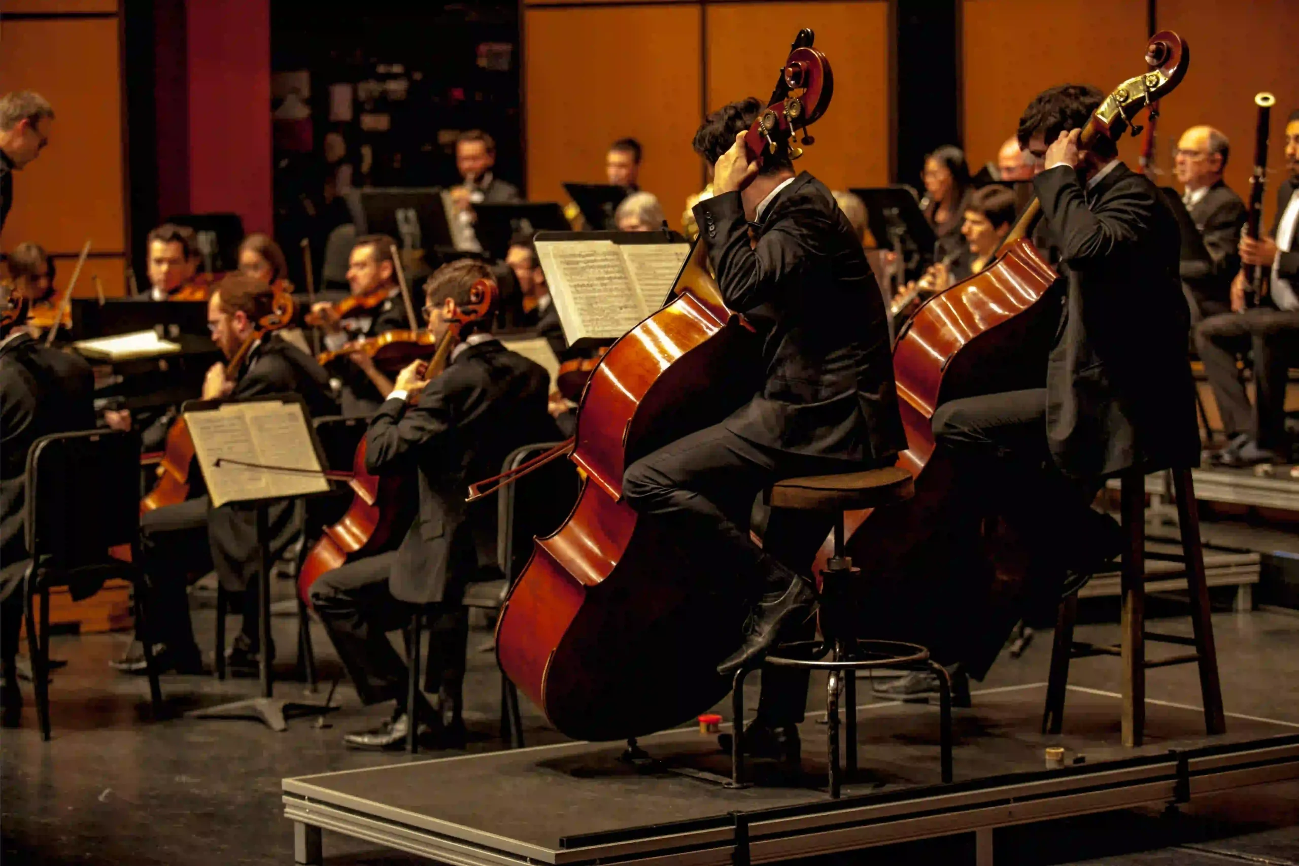 Des musiciens jouent au sein d’un orchestre symphonique, avec plusieurs contrebasses au premier plan.