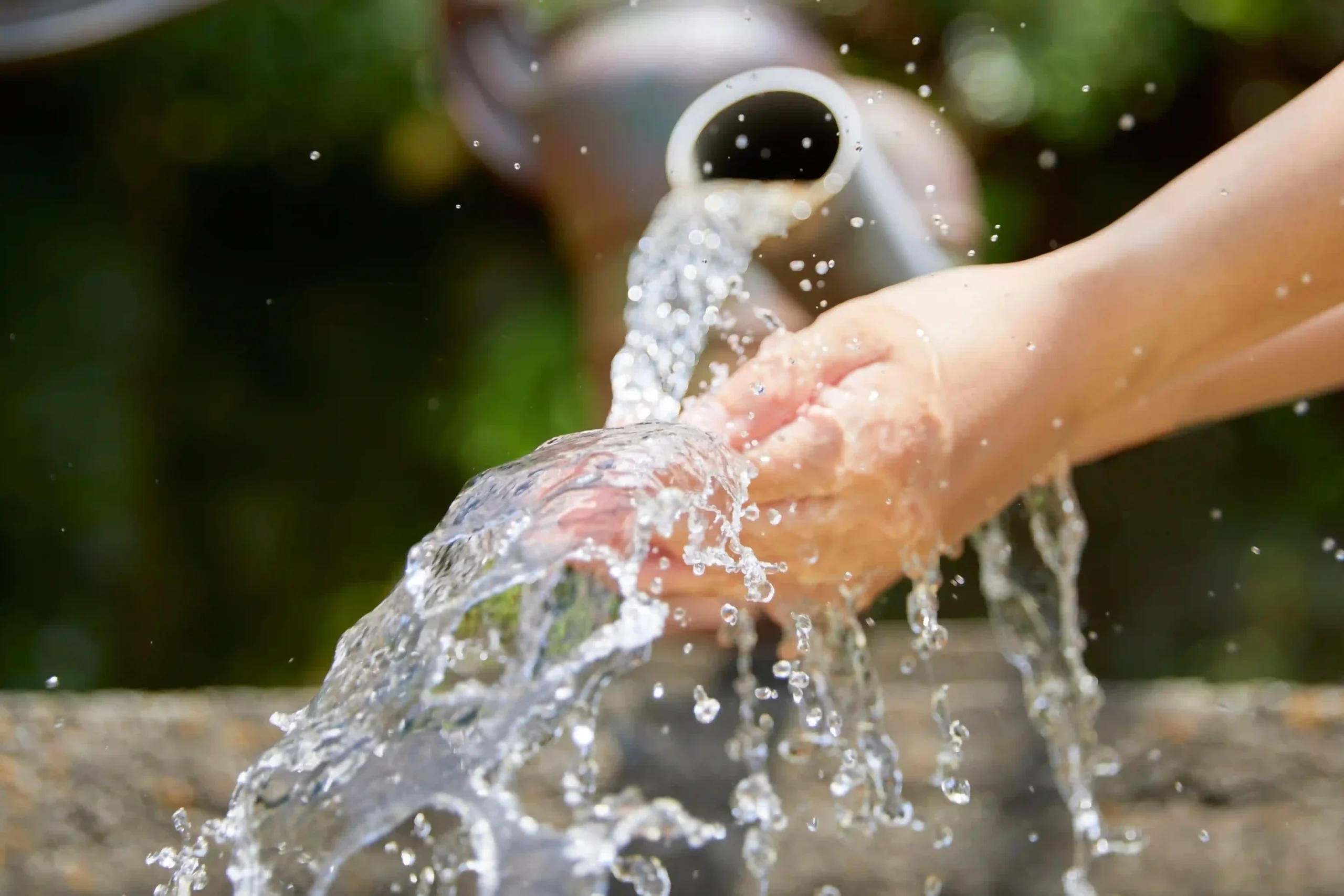 Des mains recueillent l’eau versée par un arrosoir dans un jardin.