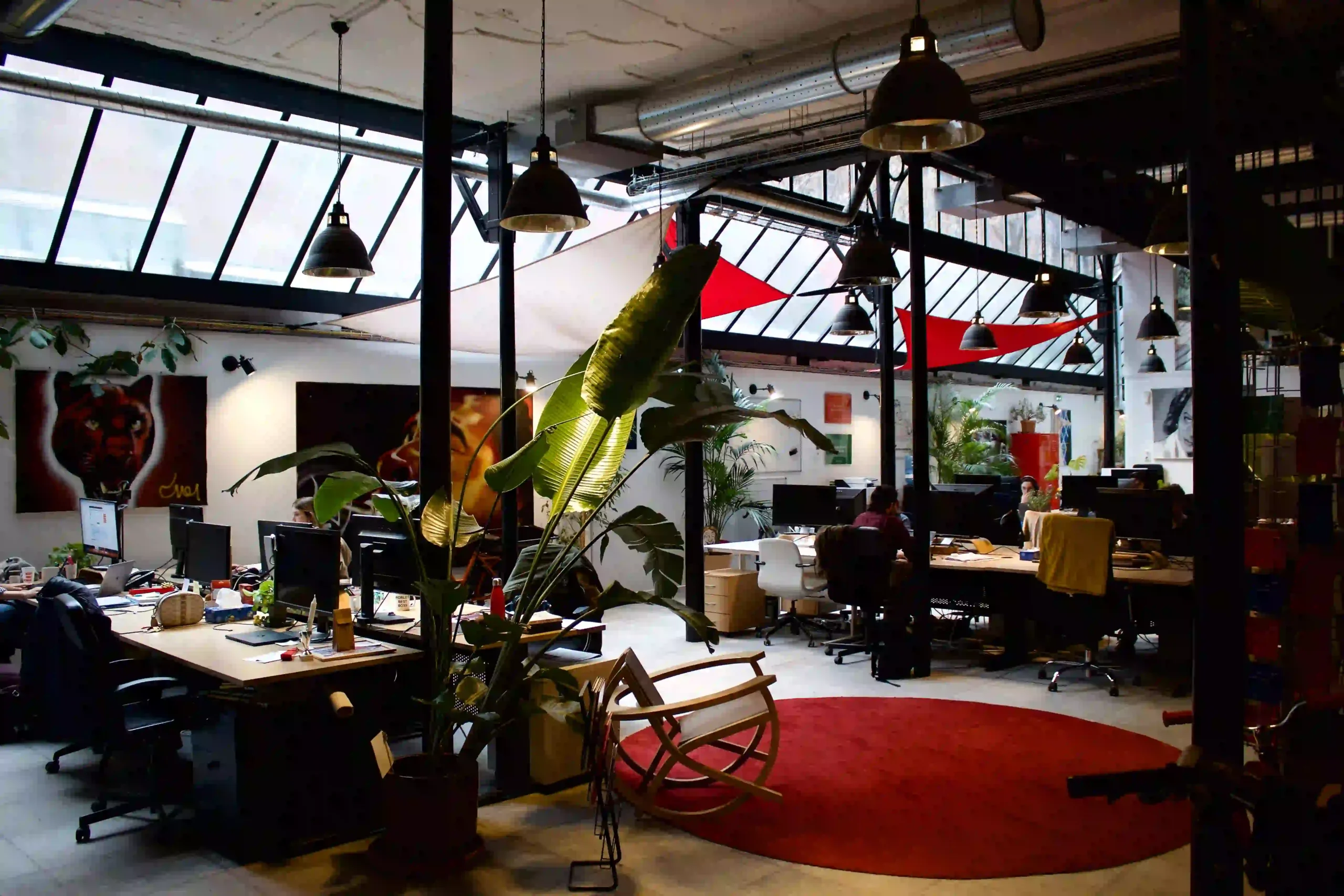 Les locaux d’Aimigo