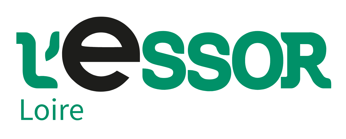 Lessor loire